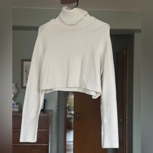 Chunky Cropped Zara Turtle Neck